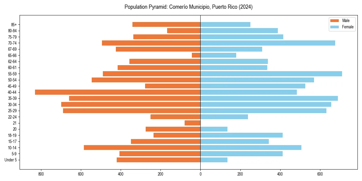 Population pyramid for 