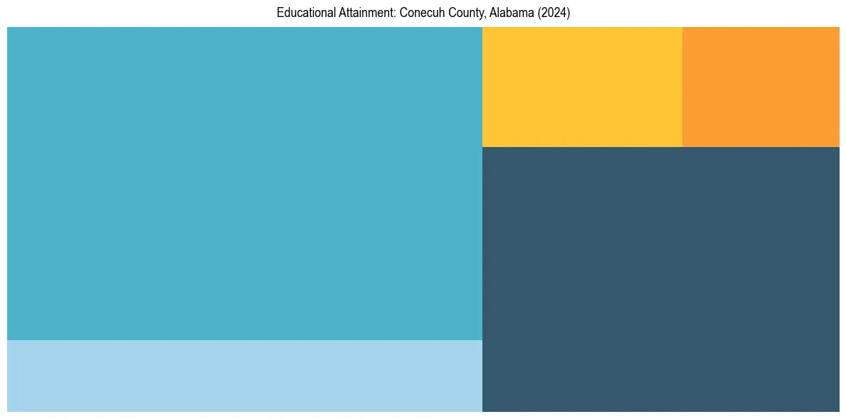 Education Treemap for  in 2024