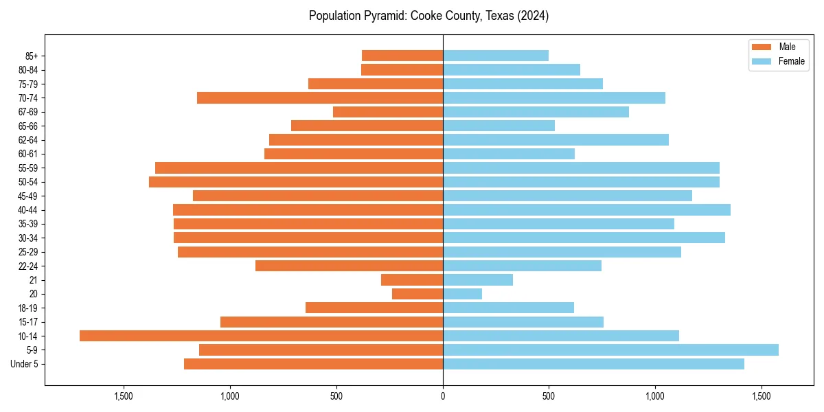 Population pyramid for 