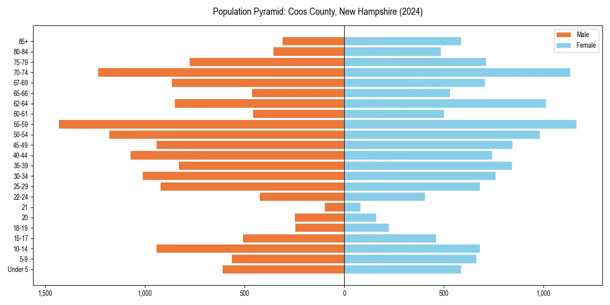 Population pyramid for 