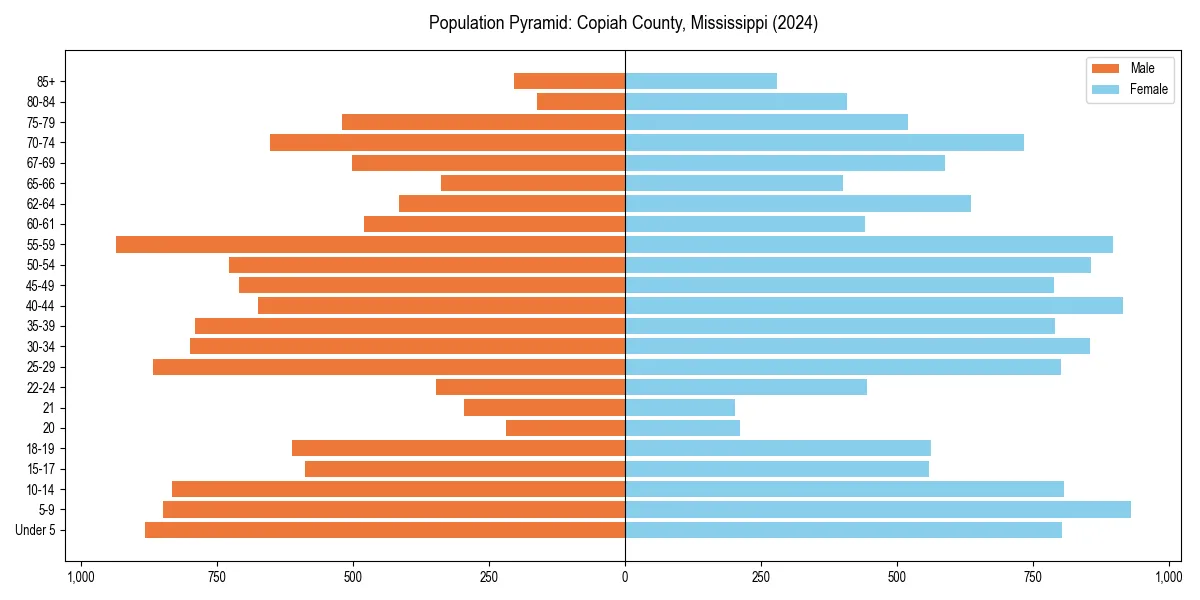 Population pyramid for 
