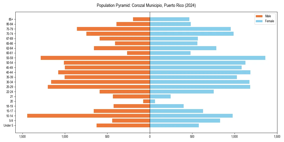 Population pyramid for 