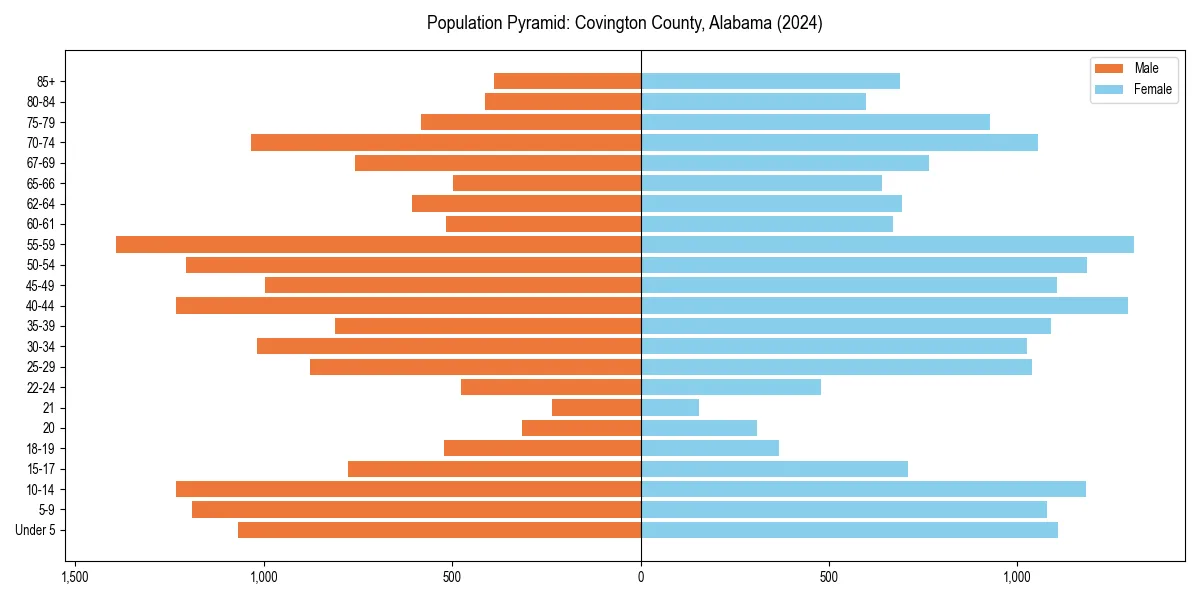 Population pyramid for 