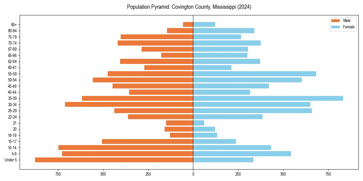 Population pyramid for 