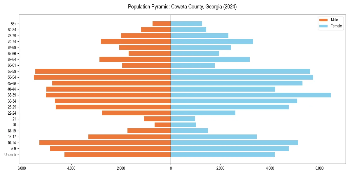 Population pyramid for 