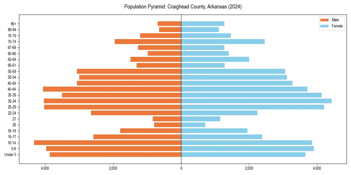 Population pyramid for 