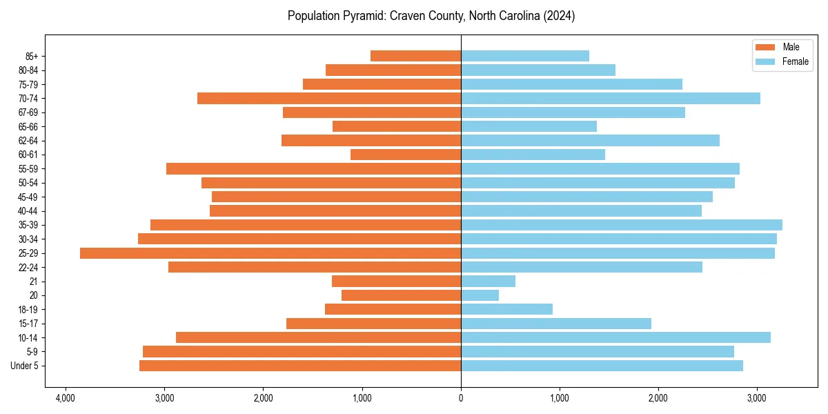 Population pyramid for 