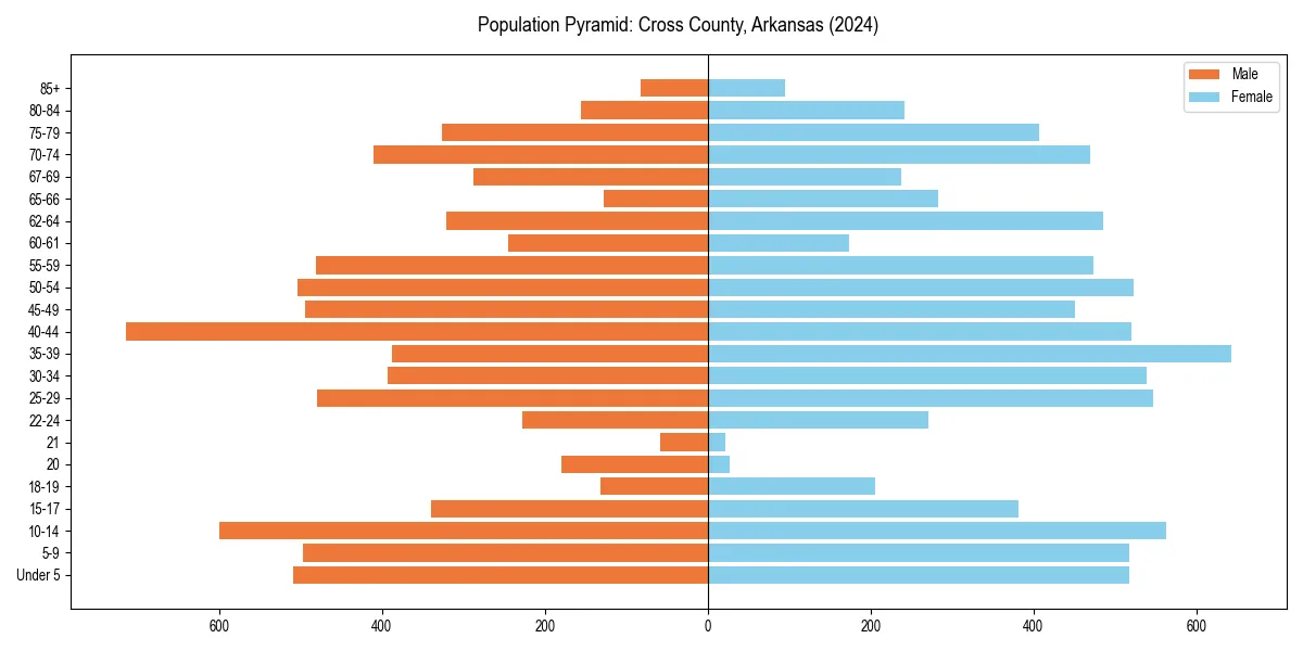Population pyramid for 