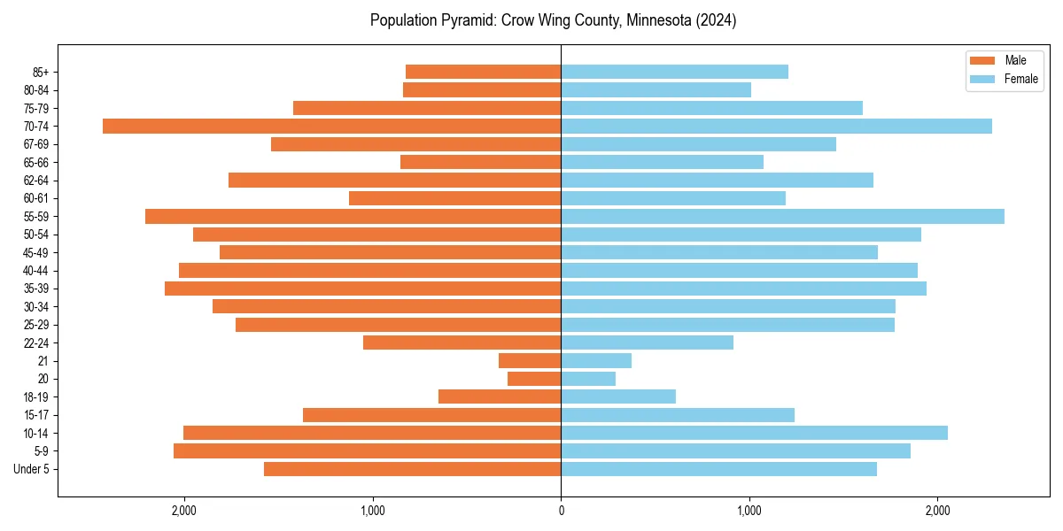 Population pyramid for 