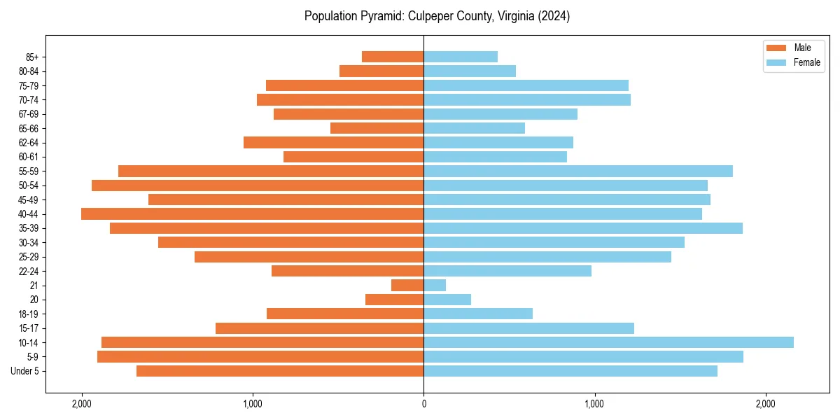 Population pyramid for 