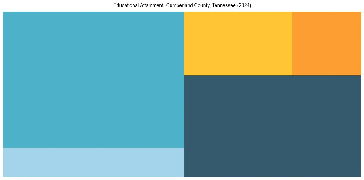 Education Treemap for  in 2024