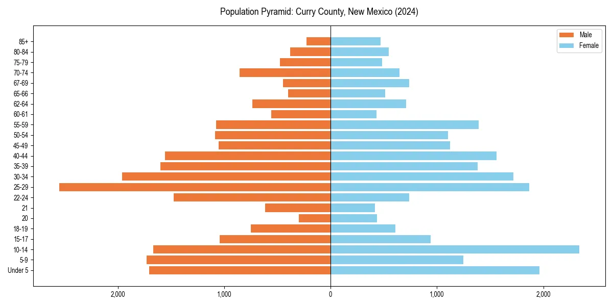 Population pyramid for 