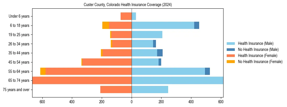 Health insurance pyramid for Custer County, Colorado