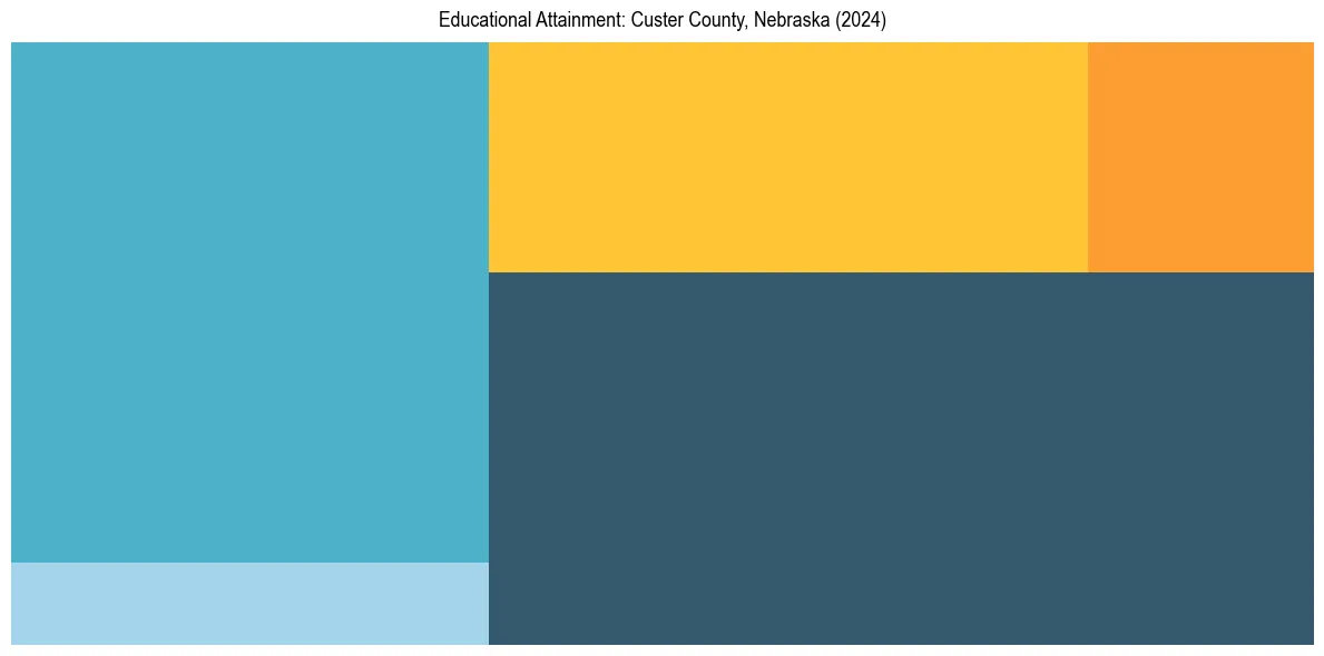 Education Treemap for  in 2024
