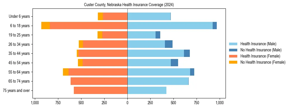 Health insurance pyramid for Custer County, Nebraska