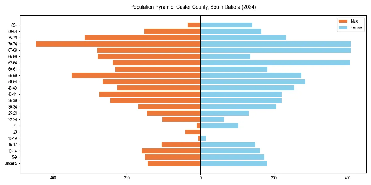 Population pyramid for 