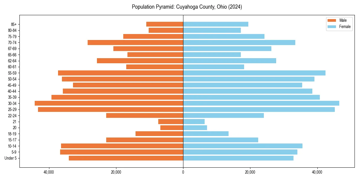 Population pyramid for 
