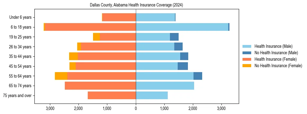 Health insurance pyramid for Dallas County, Alabama