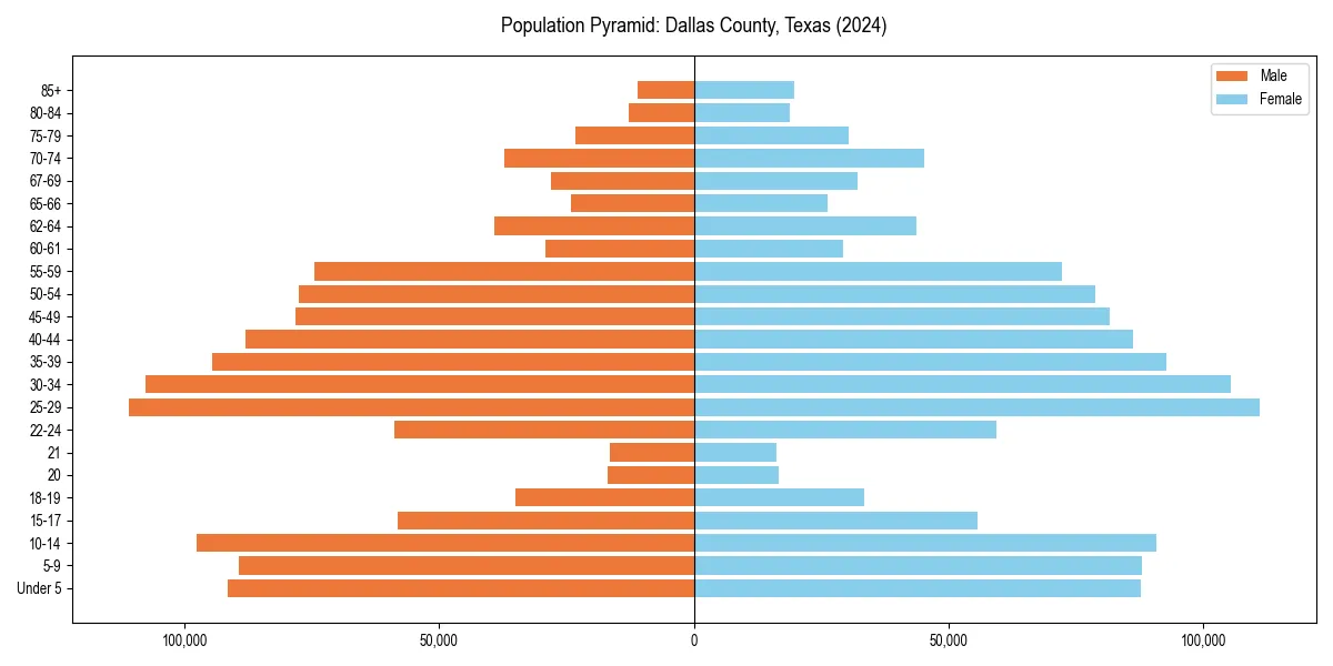Population pyramid for 