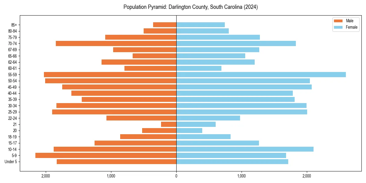 Population pyramid for 
