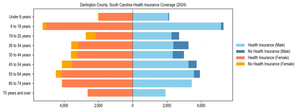 Health insurance pyramid for Darlington County, South Carolina