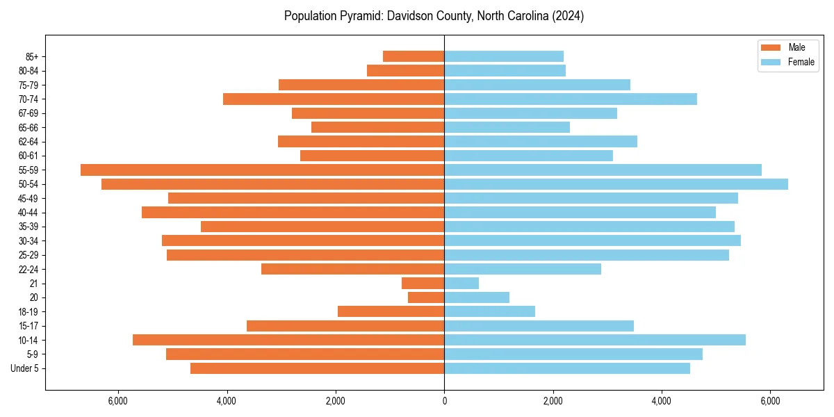 Population pyramid for 