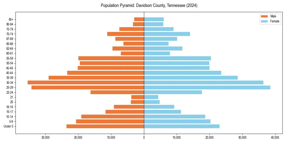 Population pyramid for 