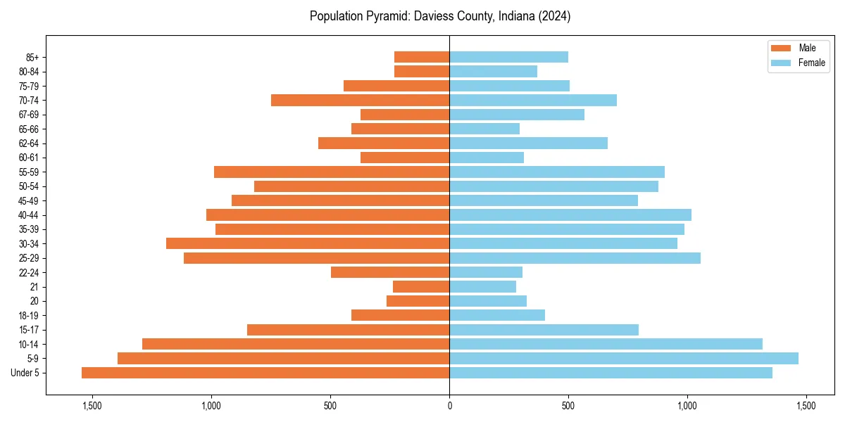 Population pyramid for 