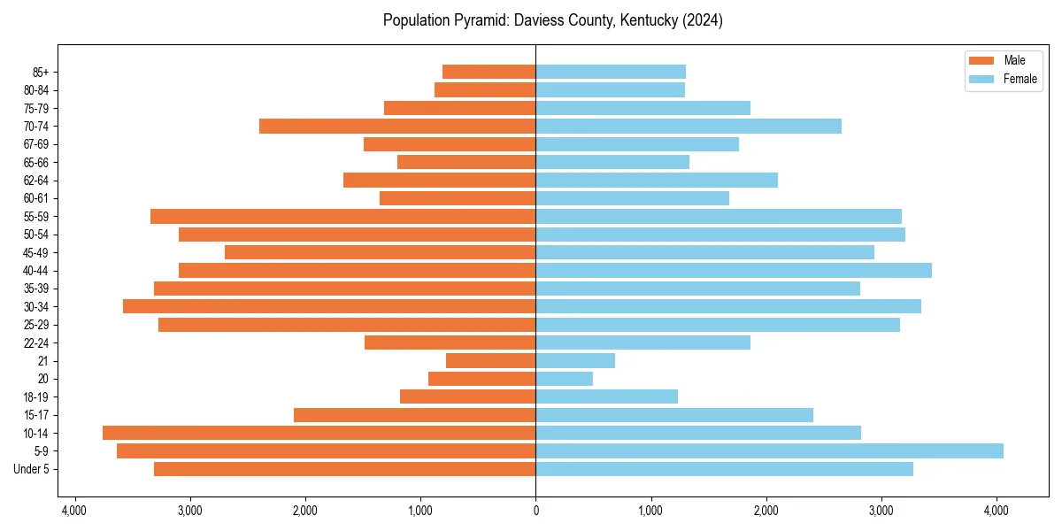 Population pyramid for 