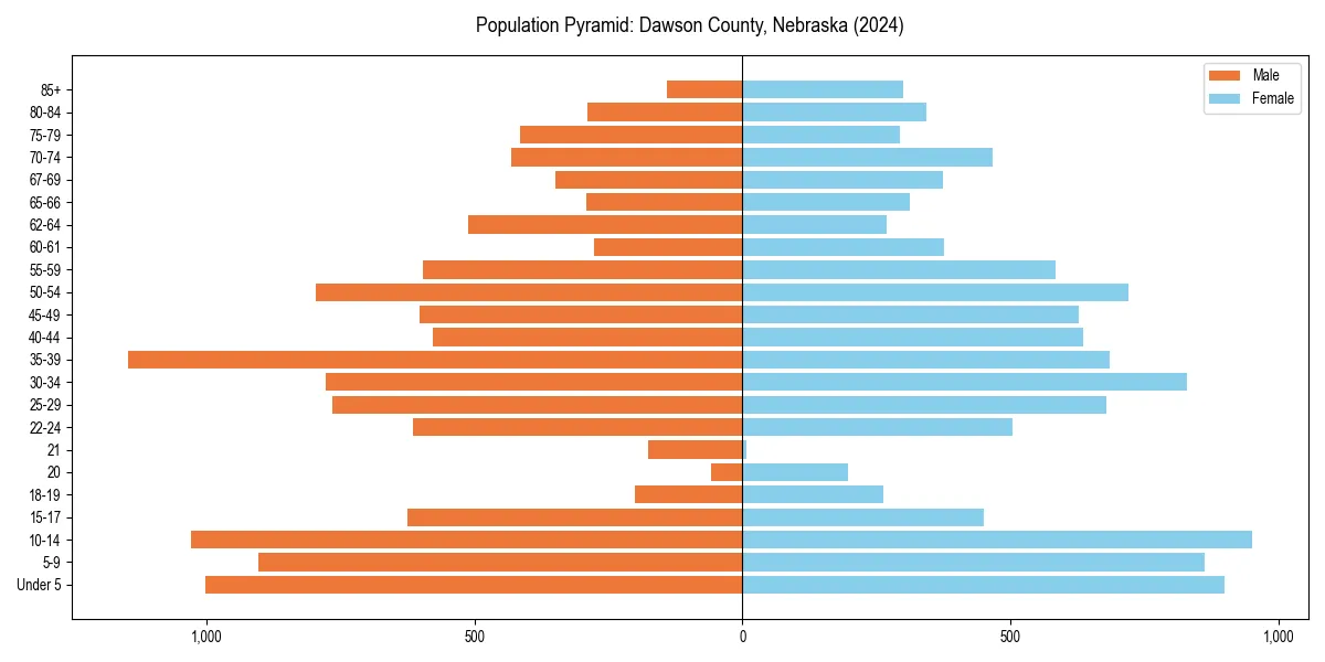 Population pyramid for 