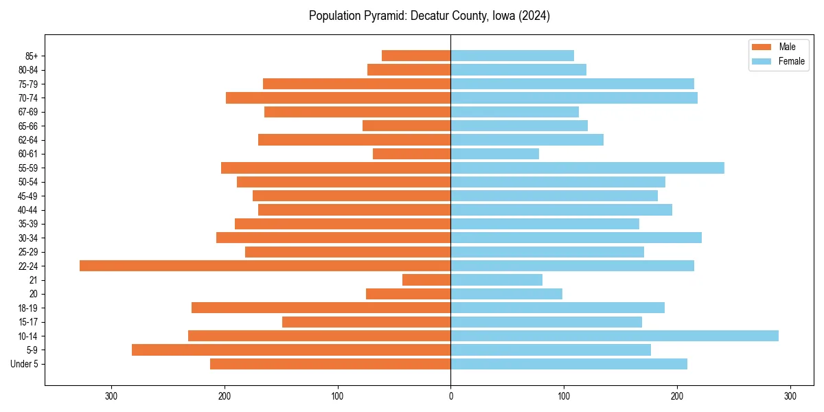 Population pyramid for 