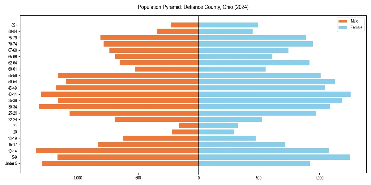 Population pyramid for 