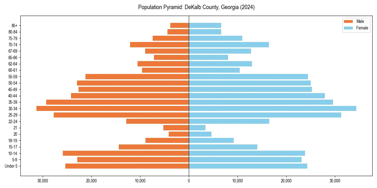 Population pyramid for 