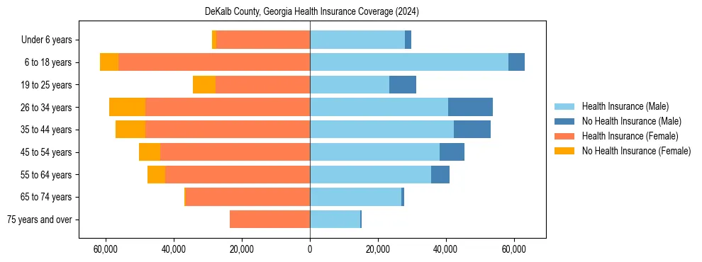 Health insurance pyramid for DeKalb County, Georgia