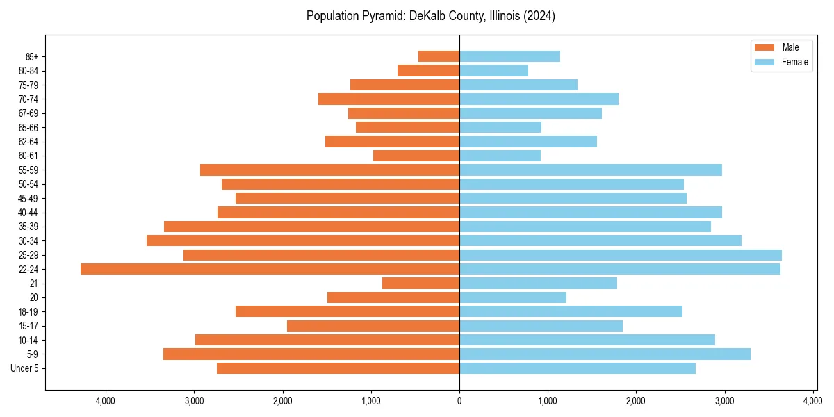 Population pyramid for 