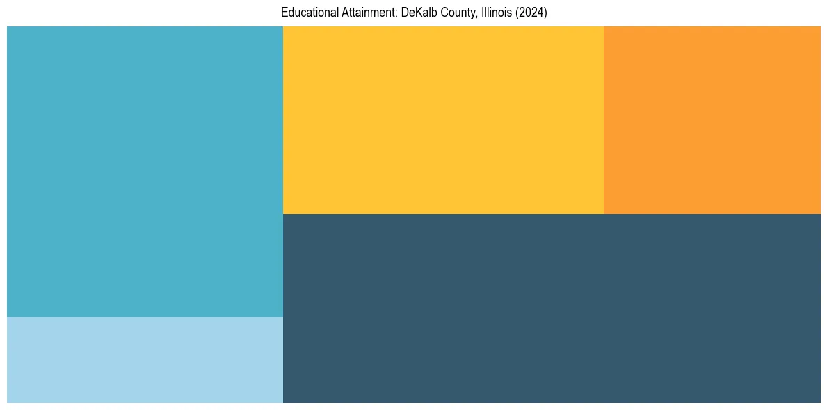 Education Treemap for  in 2024