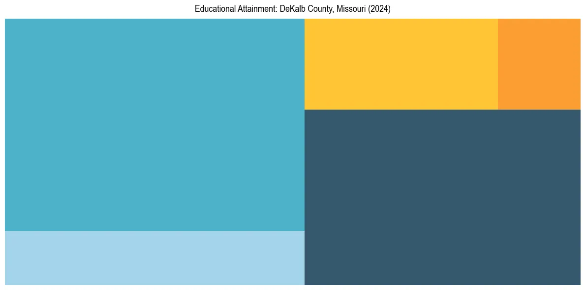 Education Treemap for  in 2024