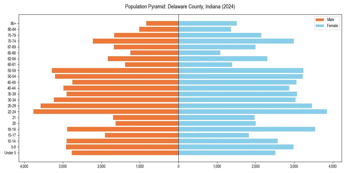 Population pyramid for 