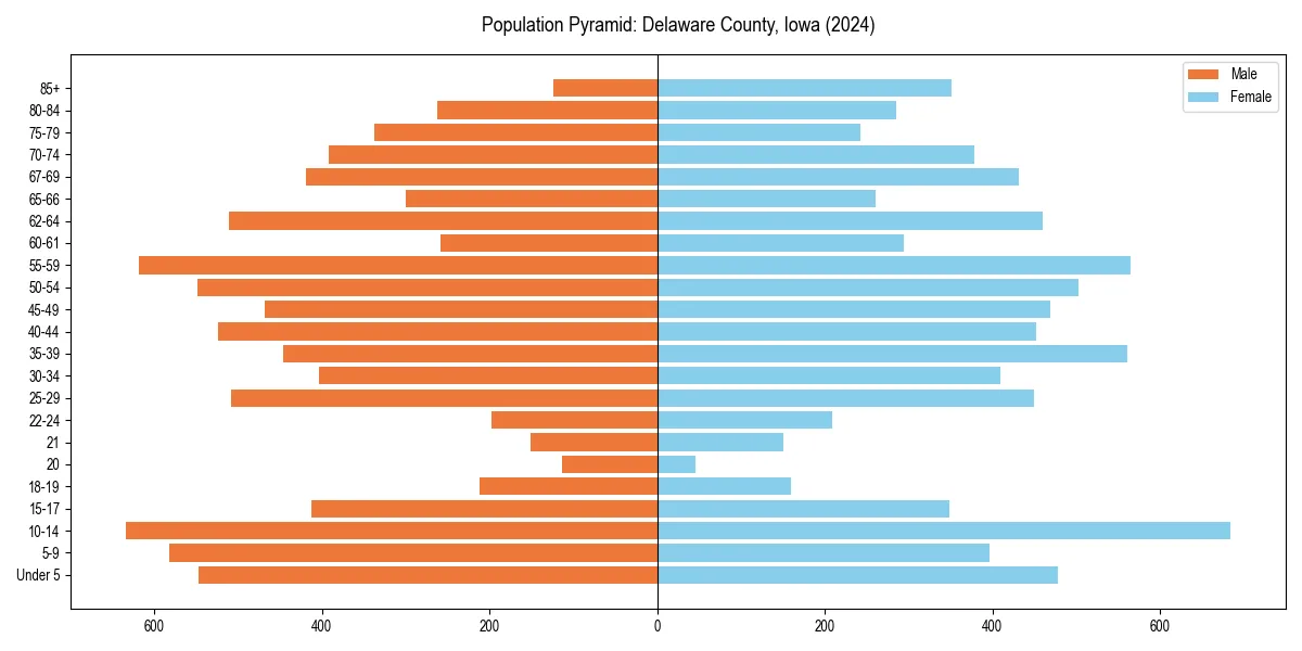 Population pyramid for 