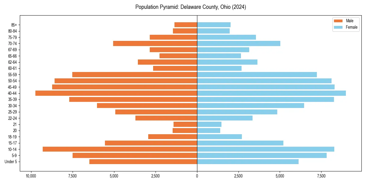 Population pyramid for 