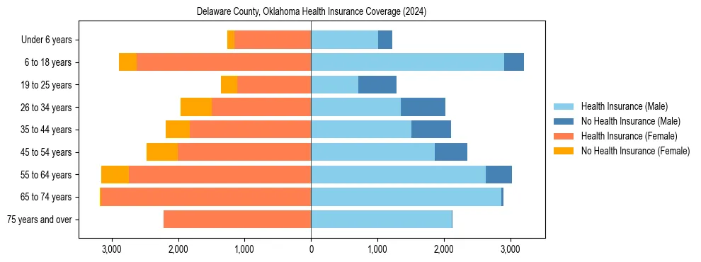 Health insurance pyramid for Delaware County, Oklahoma