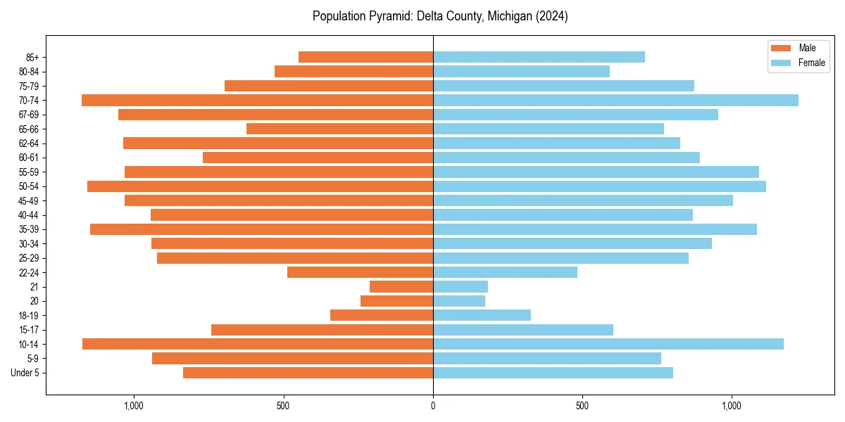 Population pyramid for 