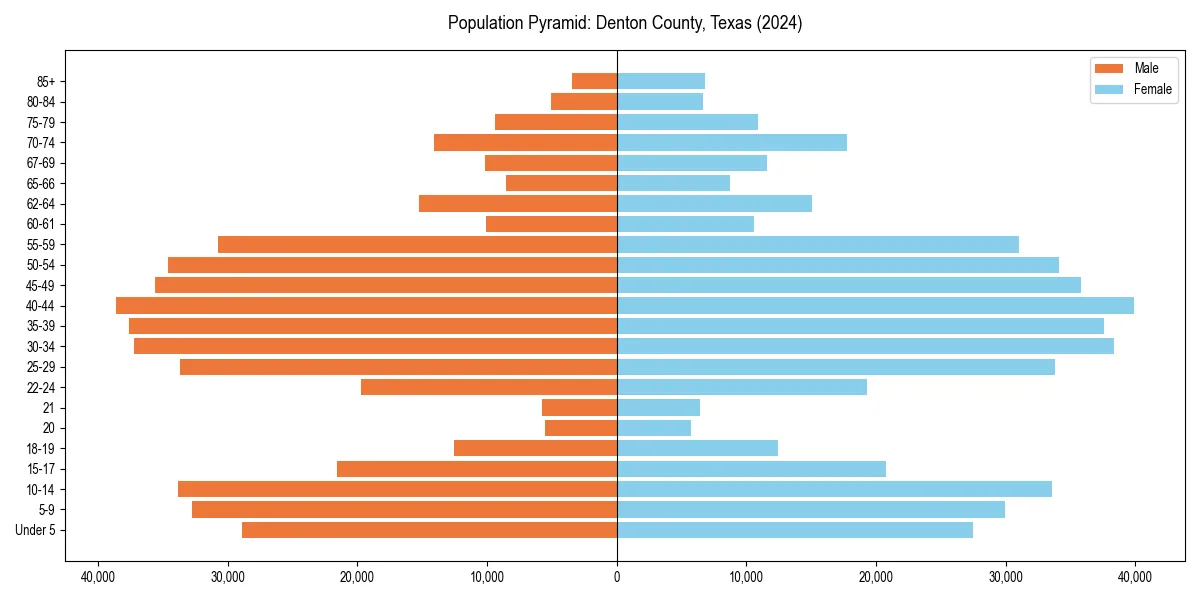 Population pyramid for 
