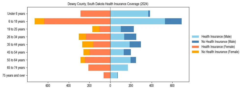 Health insurance pyramid for Dewey County, South Dakota