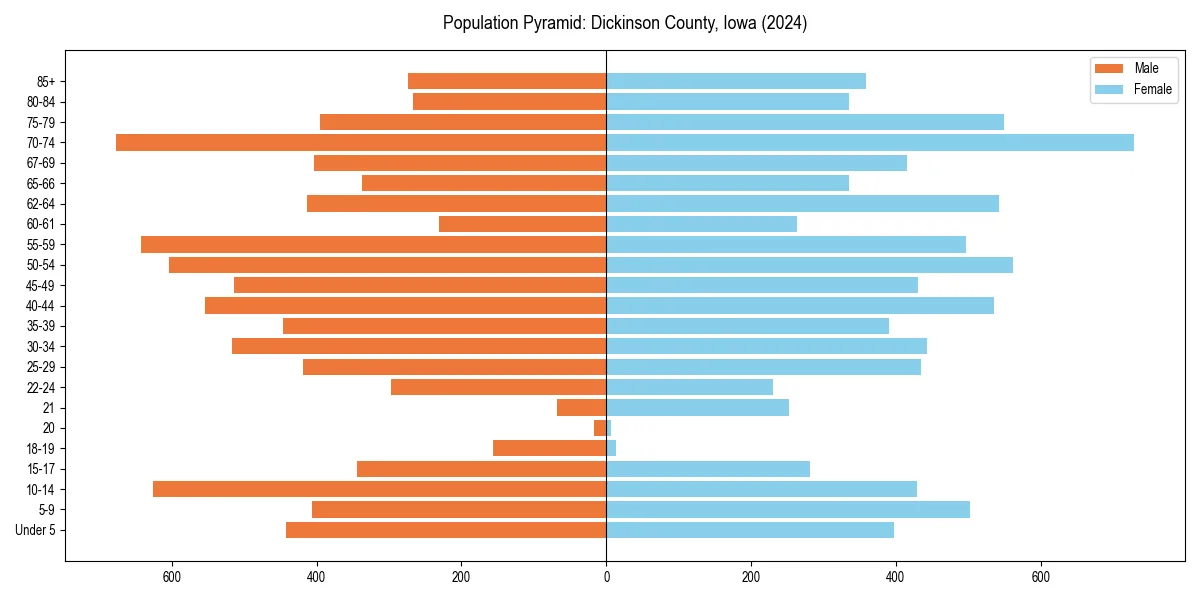 Population pyramid for 
