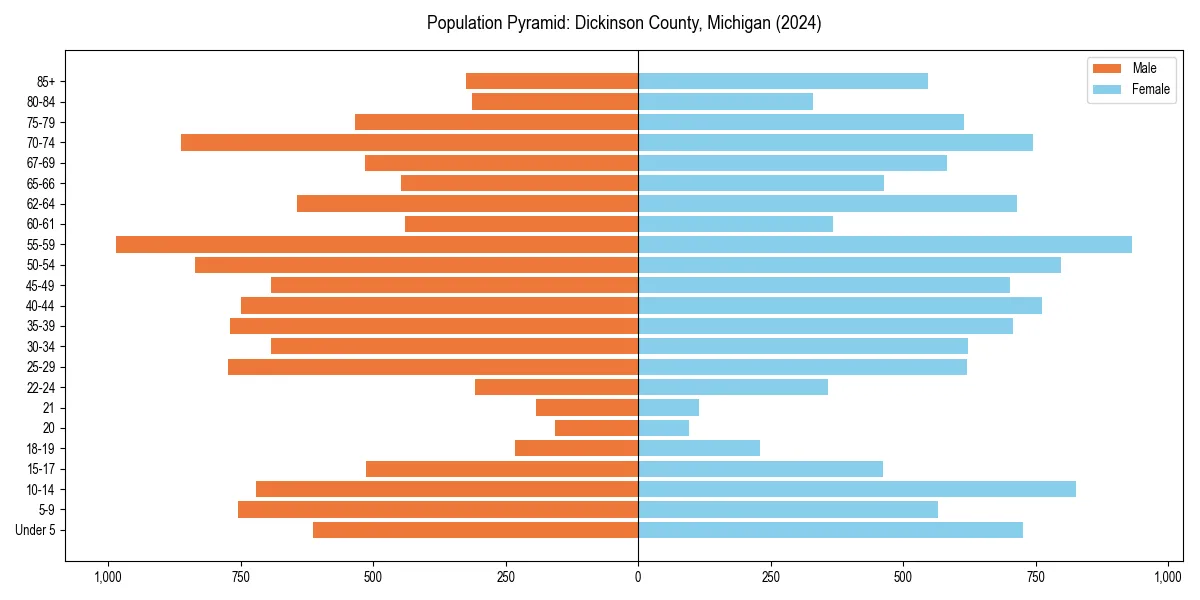 Population pyramid for 