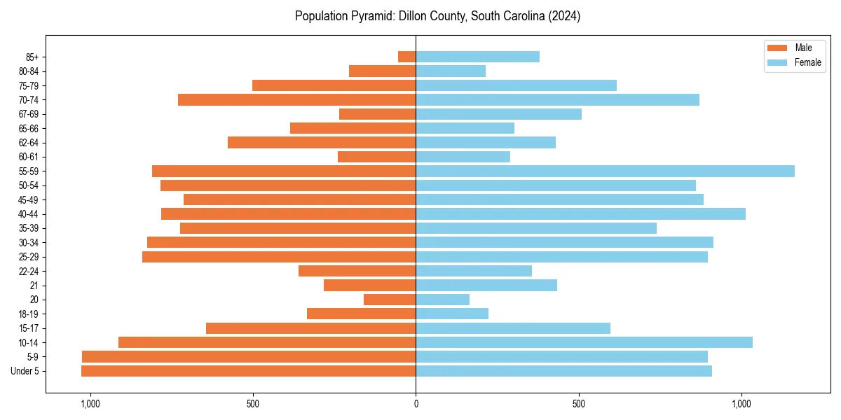 Population pyramid for 