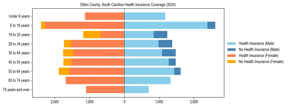 Health insurance pyramid for Dillon County, South Carolina