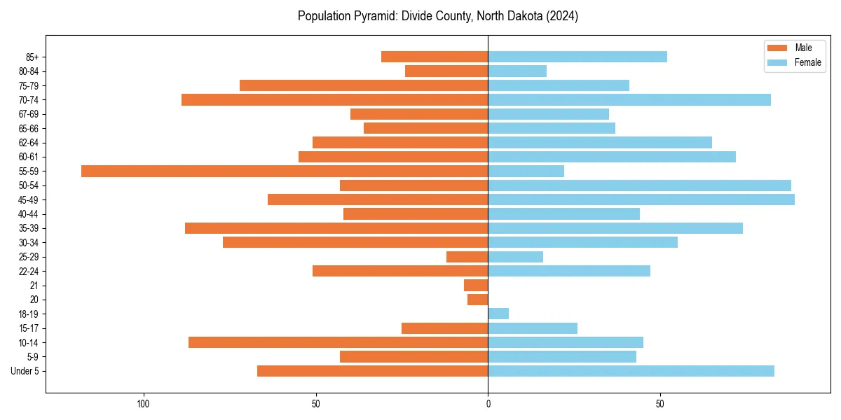 Population pyramid for 