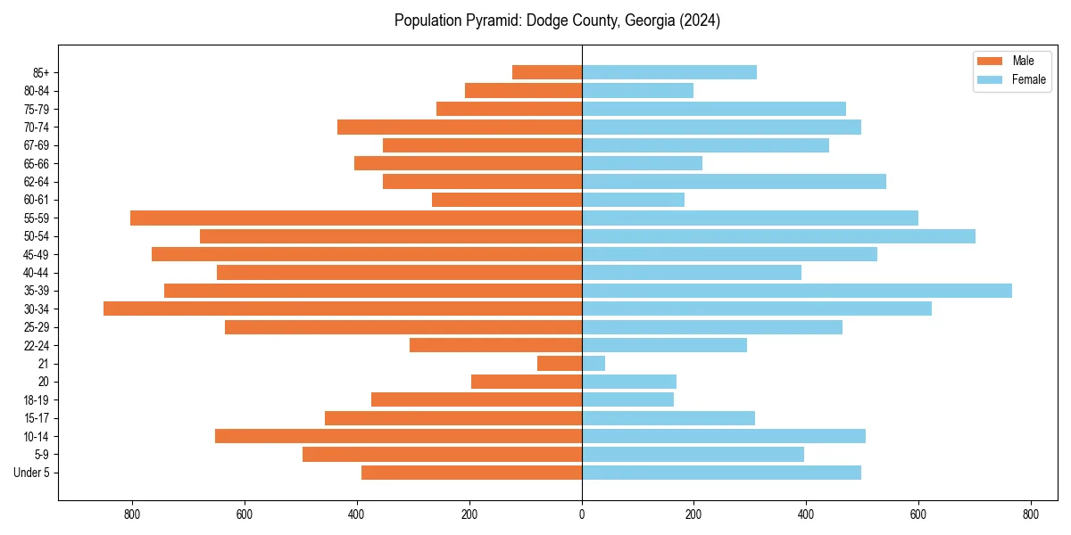 Population pyramid for 